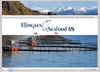 Ellingsen Vågan Eiendom AS