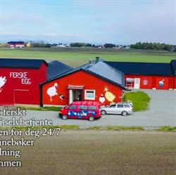 Hovde Hønseri
