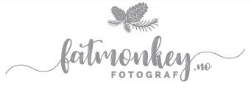 Fatmonkey FOTOGRAF