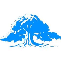 Birkenes Sparebank