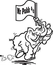 Mr. Pukk AS