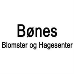 Bønes Blomster og Hagesenter