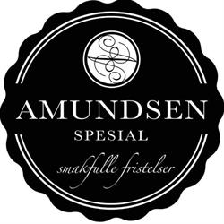 Amundsen Spesial As