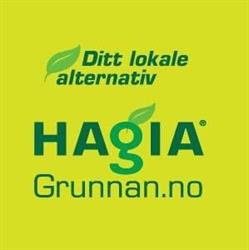 Hagia Grunnan