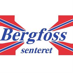 Bergfoss AS