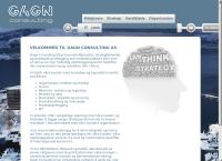 Clu Consulting AS