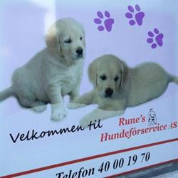 Rune's Hundeforservice AS