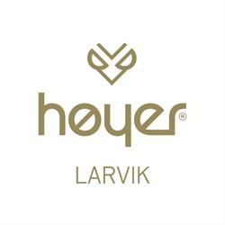Høyer Larvik AS