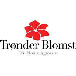Trønder Blomst AS