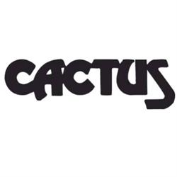 Nye Cactus As