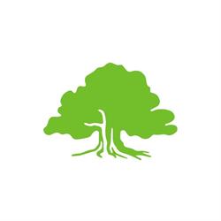 Rindal Sparebank