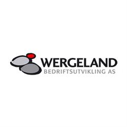 Wergeland Bedriftsutvikling AS