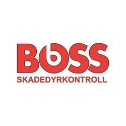 Boss Norge AS