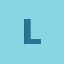 Levo Industrisalg AS