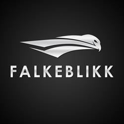Falkeblikk