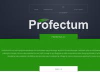 Profectum AS