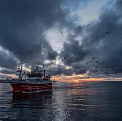 Ballstadøy As