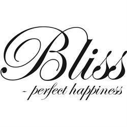 Bliss Consept AS