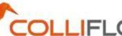 Colliflow AS