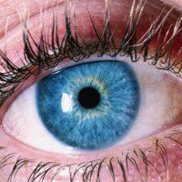 Rjukan Synssenter Optometri