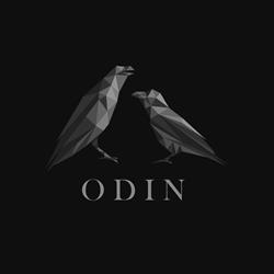 Odin prosjektering AS
