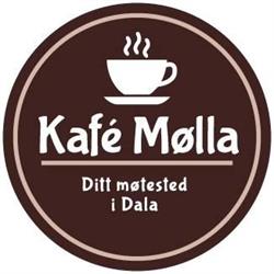 Salong Mølla AS