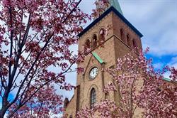 Den norske Kirke Kampen menighet