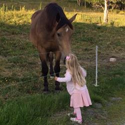 Skaga Ridesenter Irene Storeskar