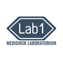Lab1 AS