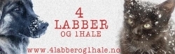 4Labber og 1Hale