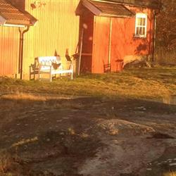 Nyttehagen på Solbrekke Annike Selmer Thorkildsen