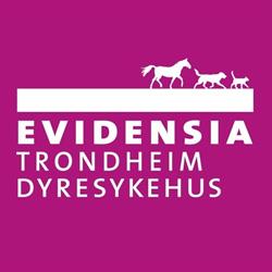 Evidensia Trondheim Dyresykehus