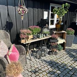 Bryggerhuset på Jahren AS