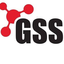 Gss AS