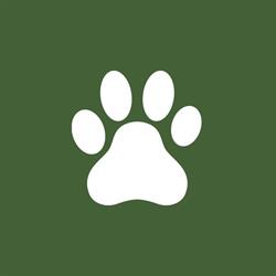 Veterinærkontoret i Ulsteinvik