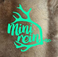 Minirein