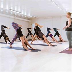 Joy Yoga