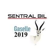Sentral Bil AS