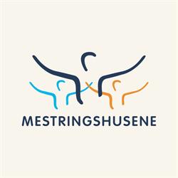 Mestringshusene på Bolkesjø