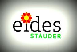 Eides Stauder