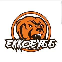 Ekko Bygg As