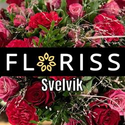 Floriss Svelvik