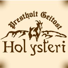 Hol Ysteri