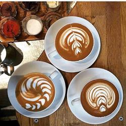 Dromedar Kaffebar Ålesund