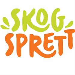 SkogSprett Klatrepark