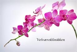 Velværeklinikken