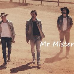 Mr Mister