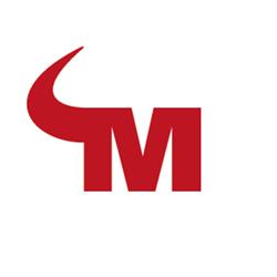 Mavericks Guerrilla Consulting Furchner