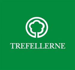 Trefellerne AS - Trefelling