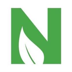NEMS AS